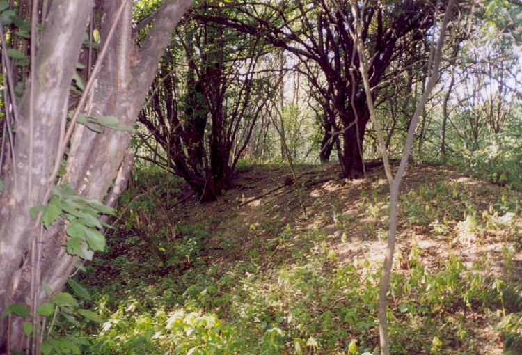 Southern part of the hillfort (photo taken in 2004).
