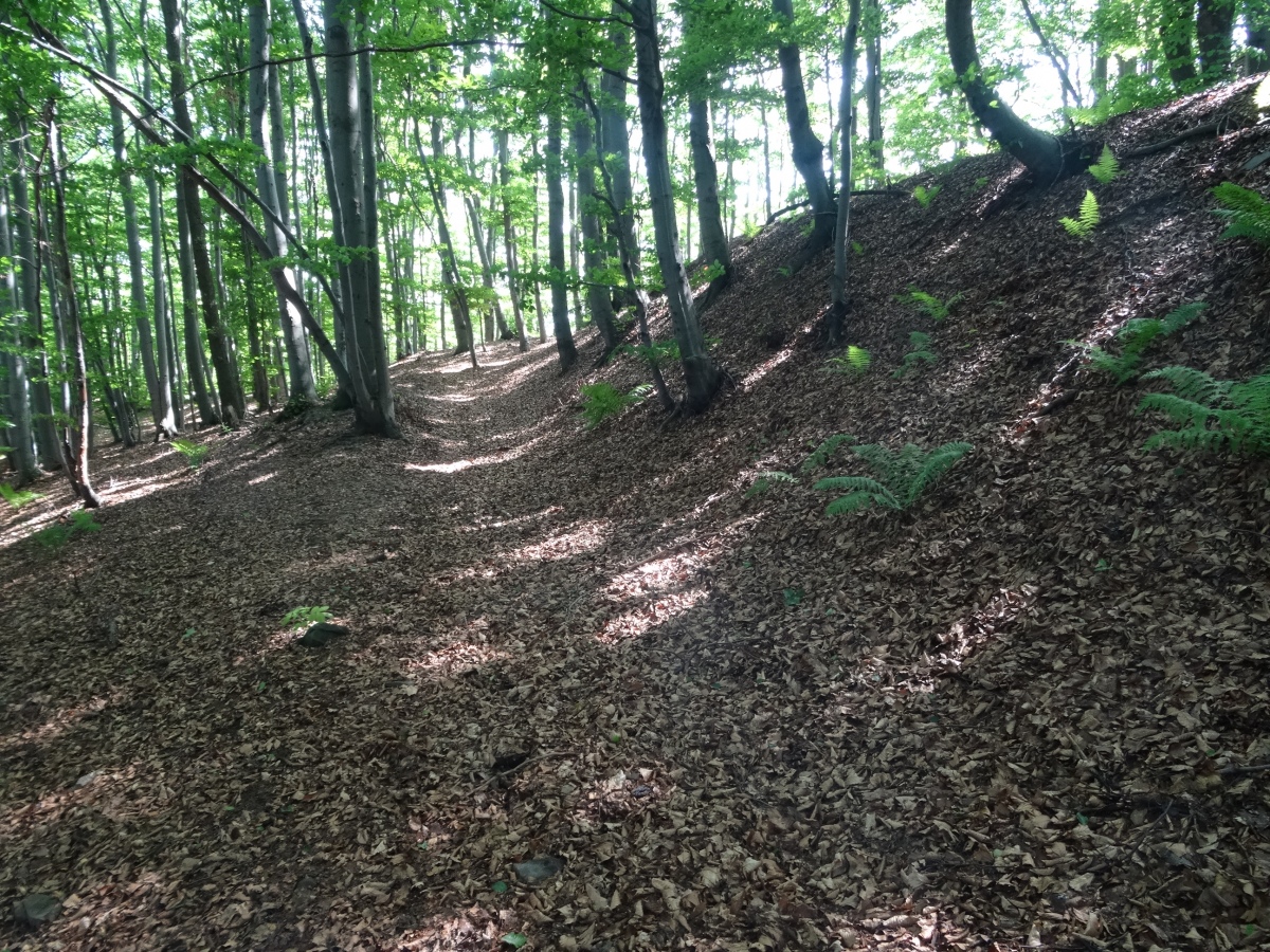 Outer rampart in the NE part of the hillfort (photo taken on June 2020).