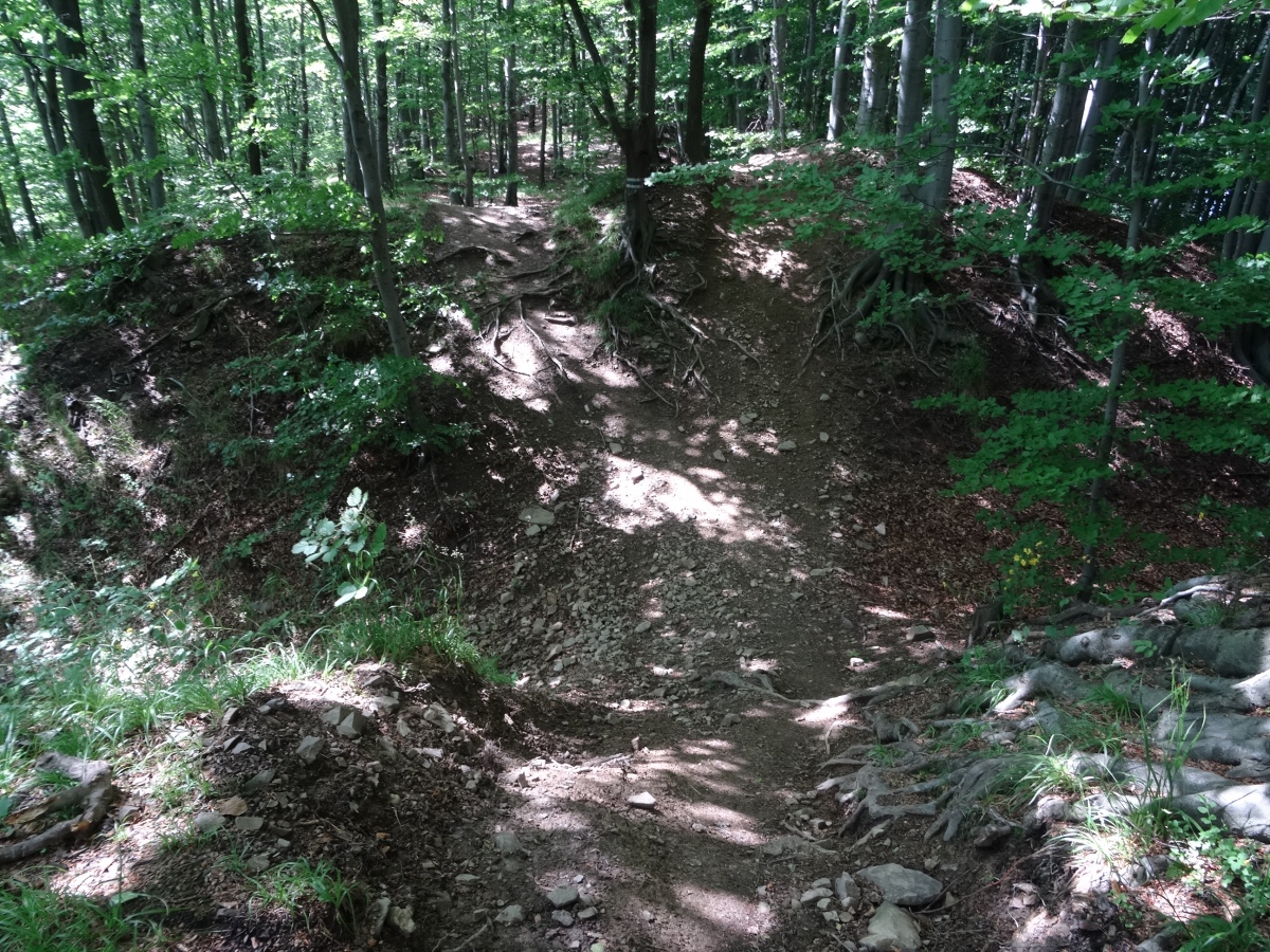 Rampart and ditch cutting the ridge east of the hillfort - view from the east (photo taken on June 2020).