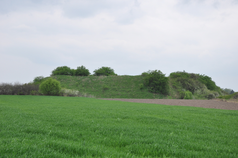 Proboszczowice hill fort