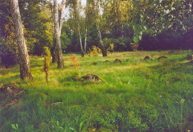 Rostki Stone Circles