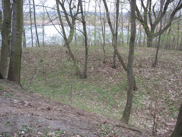 Grodzisko Turostowo