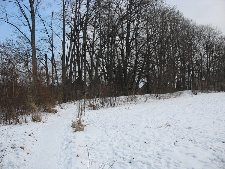 SE part of the earthwork - view from interior of the hillfort (photo taken on January 2011).

