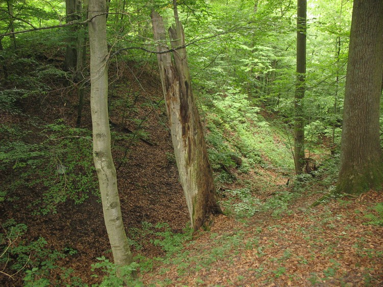 Grodzisko Stary Dzierzgoń