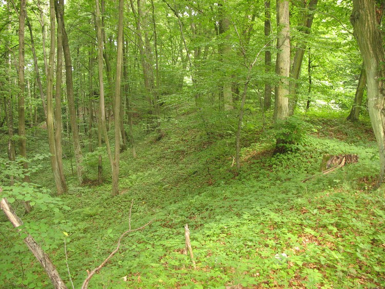 Grodzisko Stary Dzierzgoń