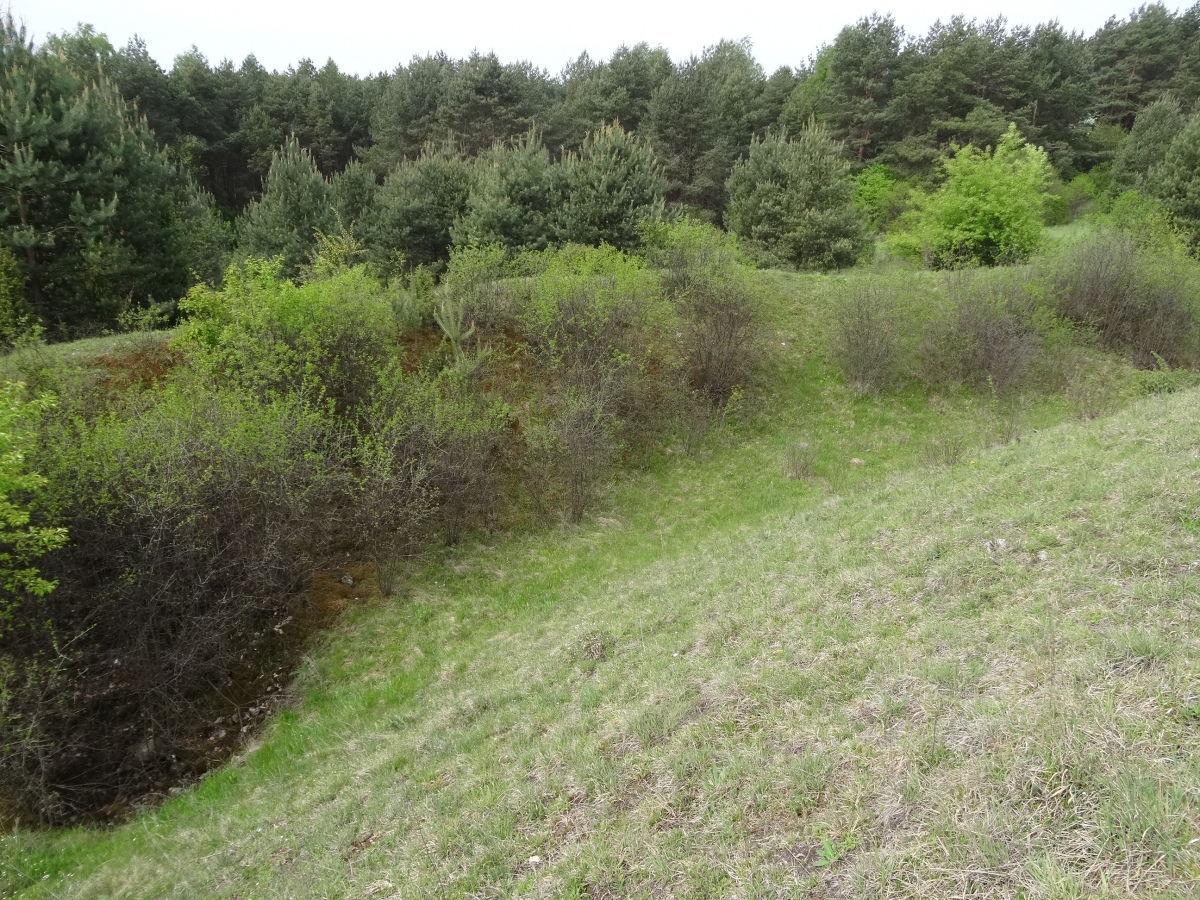 Grodzisko Stary Olkusz - view from the rampart towards the ditch and outer bank (photo taken on May 2020).