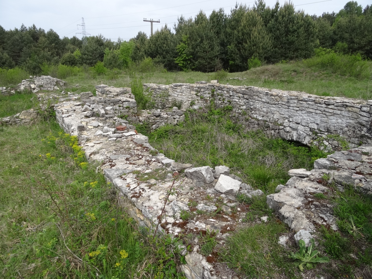 Grodzisko Stary Olkusz