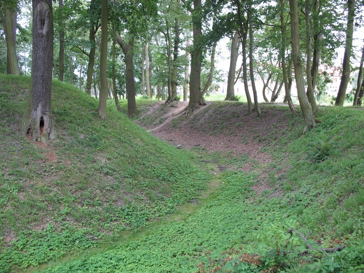 Moat of a hillfort in it's NW part. (photo taken on August 2009) 
