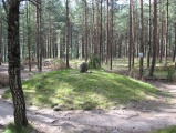 Wesiory