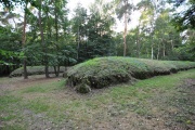 Wietrzychowice Long Barrows