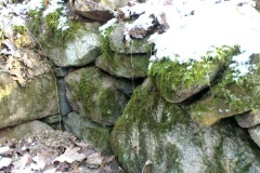 Rościn Chambered Tombs - PID:73187