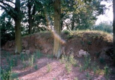 Gaj Long Barrow