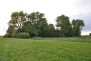 Grodzisko Dakowy Mokre - PID:121699