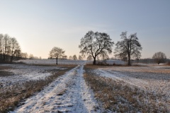 Grodzisko Łoniewo - PID:121705