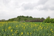 Grodzisko Nowe Proboszczewice - PID:121735