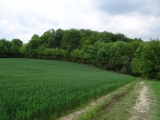 Grodzisko Będkowice