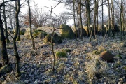 Krępcewo Chambered Tomb 1 submitted by marasch