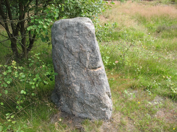 Kurhany Trątkownica