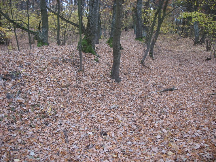 Outer rampart of the grodzisko in Kanie (photo taken on October 2018).