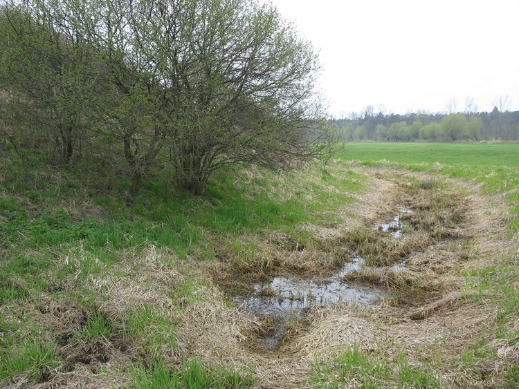 Western sector of the rampart with distinguishable traces of a ditch (photo taken on April 2011).



