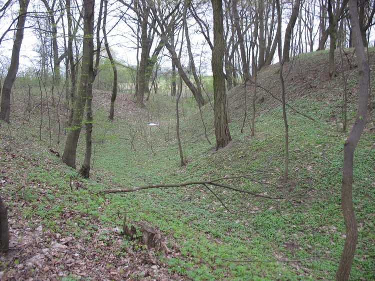 Grodzisko Turostowo
