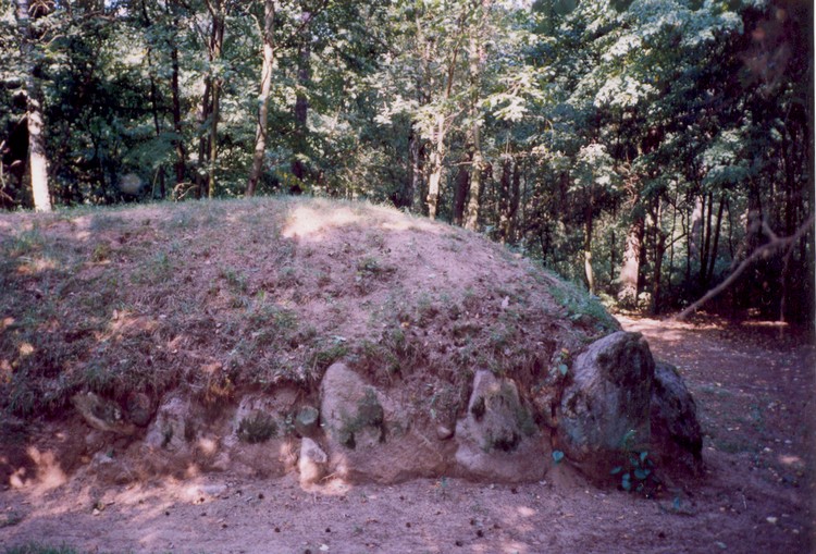 Click for the gallery page to add comments and vote (PID:41527) Wietrzychowice Long Barrows
