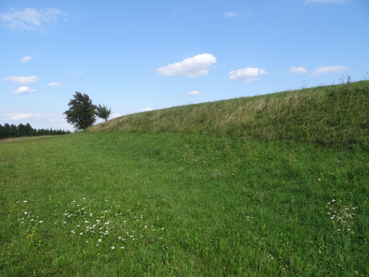 Grodzisko Walik - Brzezowa