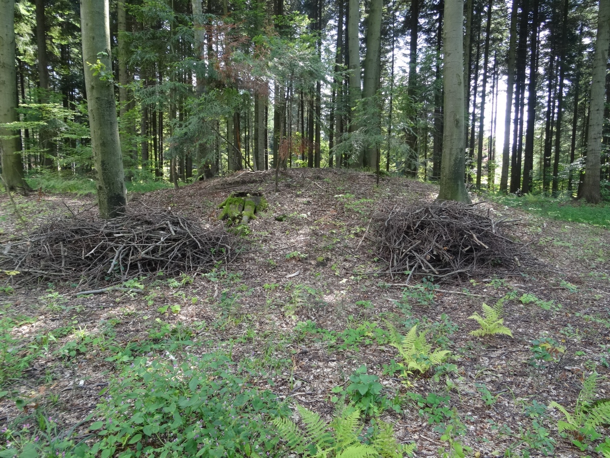 Kurhan seen from the north (photo taken on August 2019).