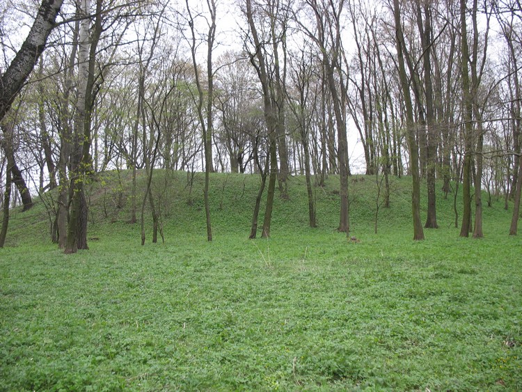 Grodzisko Turostowo