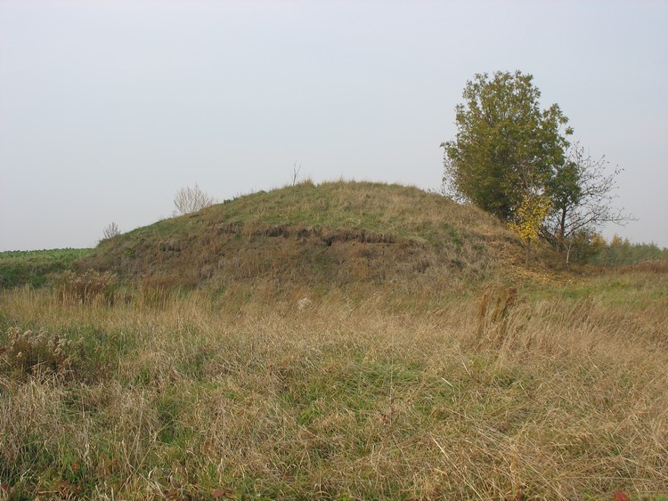 A Bronze Age round barrow in Królewice - view from the S-SE (photo taken on October 2018). 