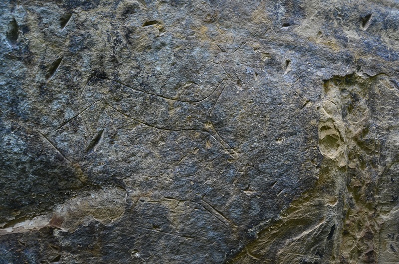 Valea Somesului Rock Art