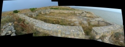 Argamum submitted by mfrincu