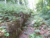 Sarmizegetusa Regia citadel
