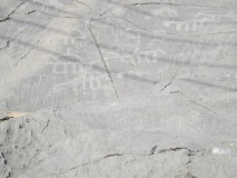 Tawi Petroglyphs