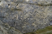 Valea Somesului Rock Art submitted by mfrincu