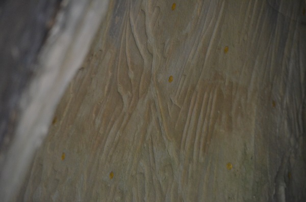 Click for full size image of Fundul Pesterii Cave (PID:156109) Fundul Pesterii Cave