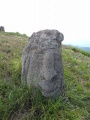 Pusty Hrad - PID:105459