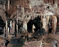 Domica