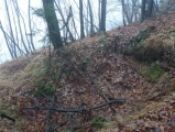 Čolnišče Prehistoric Trap