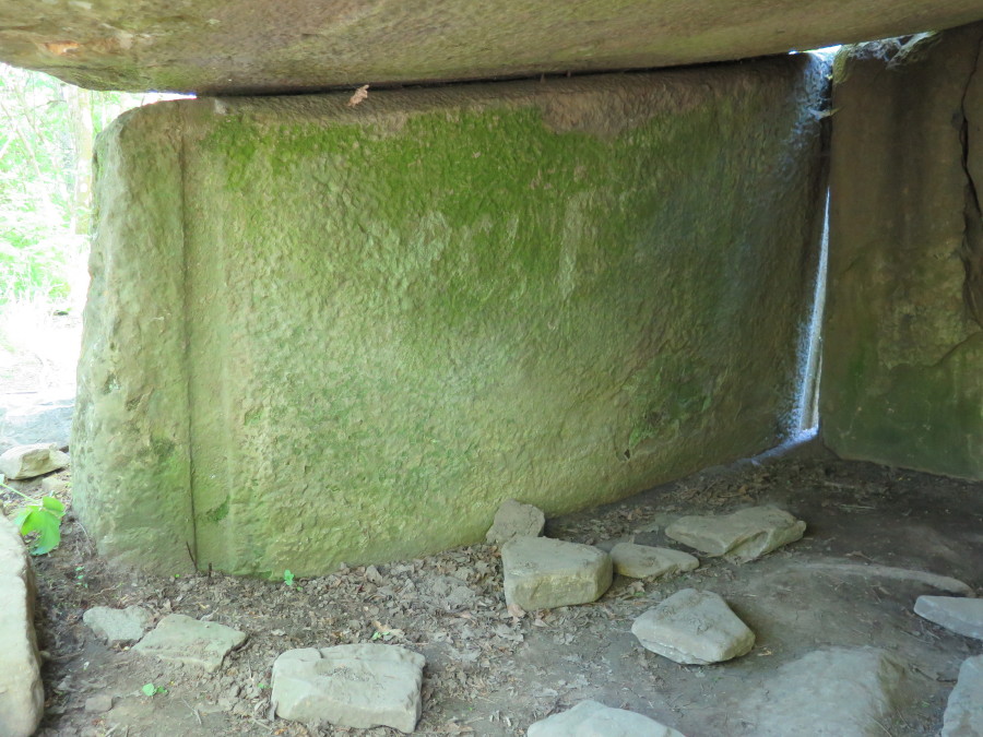 Vozrozhdenie Dolmen 1