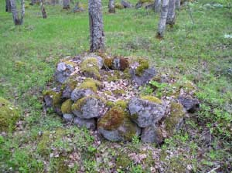 Click for full size image of Megaliths of Hogland Island (PID:157904) Megaliths of Hogland Island