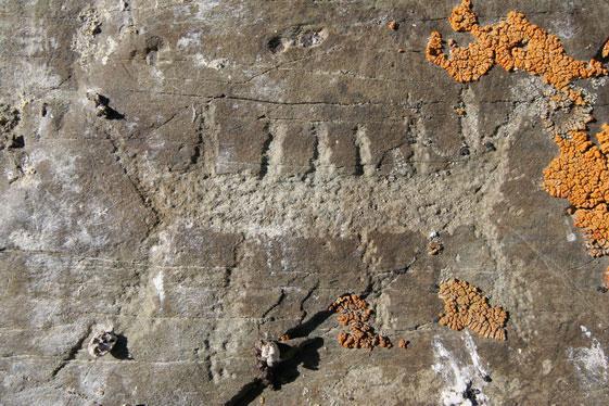 Click for full size image of Petroglyphs of Pegtymel River (PID:141261) Petroglyphs of Pegtymel River
