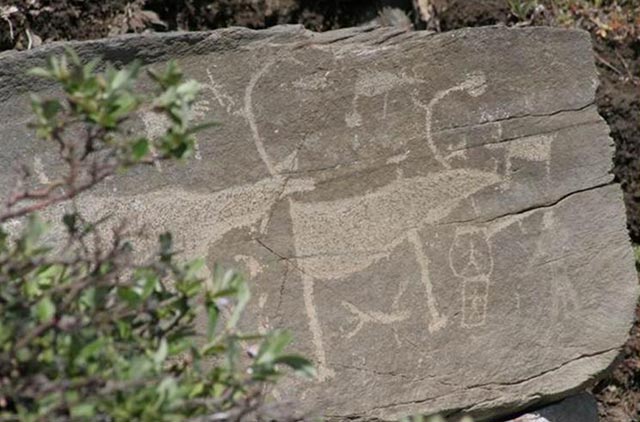 Click for full size image of Petroglyphs of Pegtymel River (PID:141262) Petroglyphs of Pegtymel River