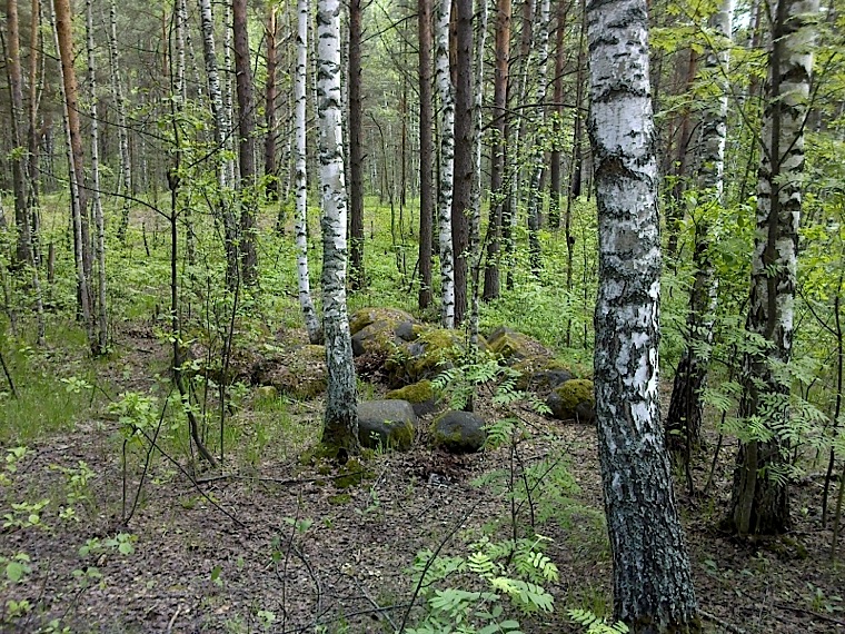 Timerevsky complex stone sanctuary