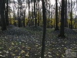 Tsaritsyno-1 submitted by Ogneslav