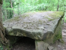 Doguab River Dolmen 4