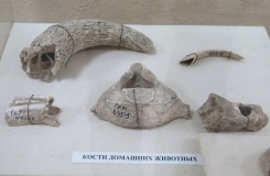 Gelendzhik Local History Museum