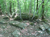 Shirokaya Schel North East 2