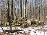 Ashe River Dolmens - PID:89208