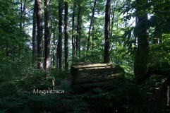 Dolmen Solо́niki ridge 2